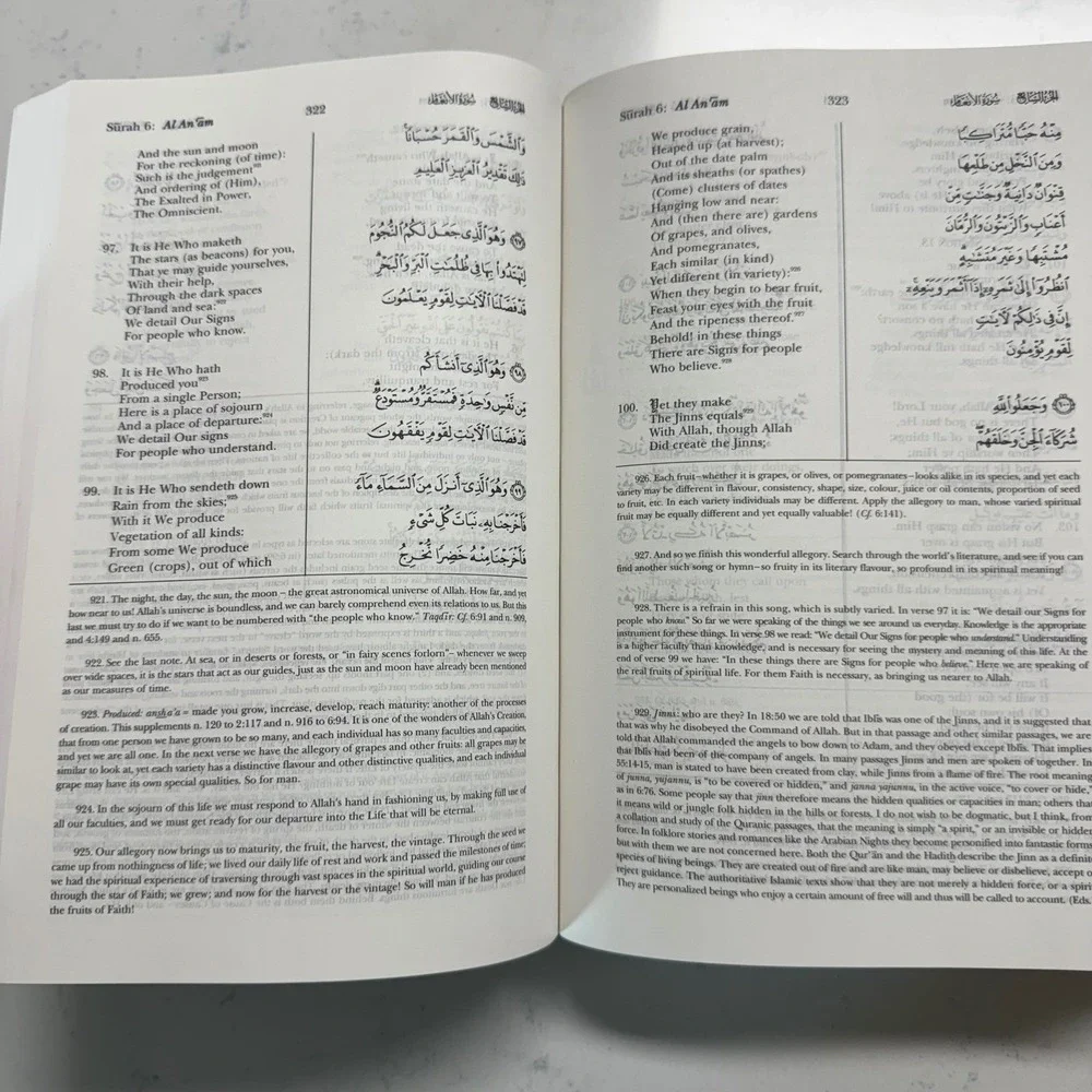 Amana Publications The Meaning of the Holy Quran Abdullah Yusuf‎ Ali Green Gold